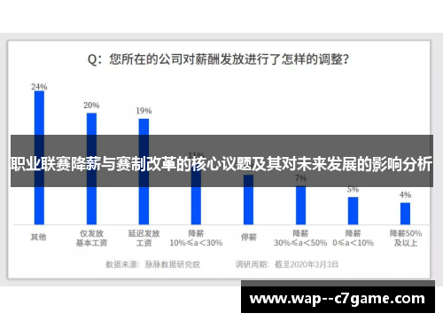 职业联赛降薪与赛制改革的核心议题及其对未来发展的影响分析