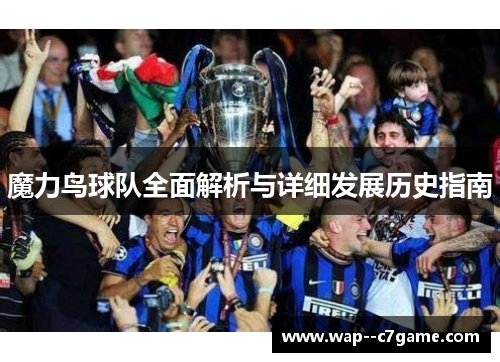 魔力鸟球队全面解析与详细发展历史指南 魔力鸟球队全面解析与详细发展历史指南