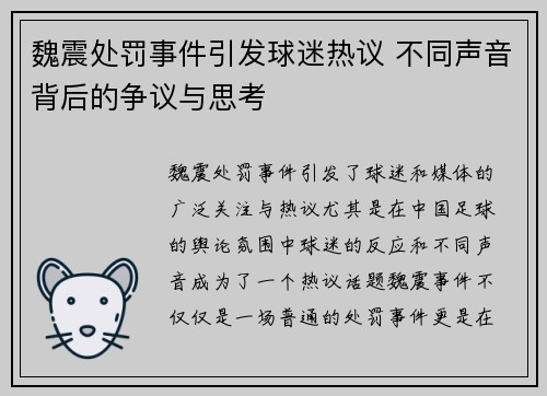 魏震处罚事件引发球迷热议 不同声音背后的争议与思考